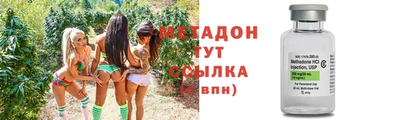 сатива Арсеньев