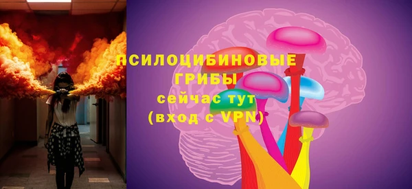 сатива Арсеньев
