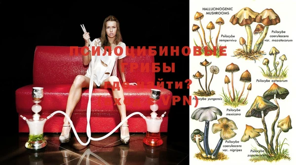 прущие крисы Аркадак